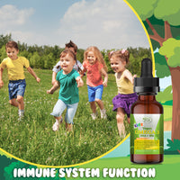 Thumbnail for vegan omega 3 supplements